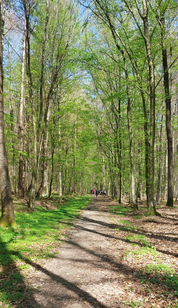 Bestes - Wanderwetter